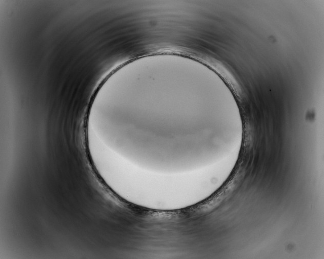 X0000103430806200810241057