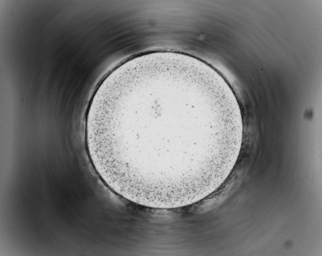 X0000103430807200810241057