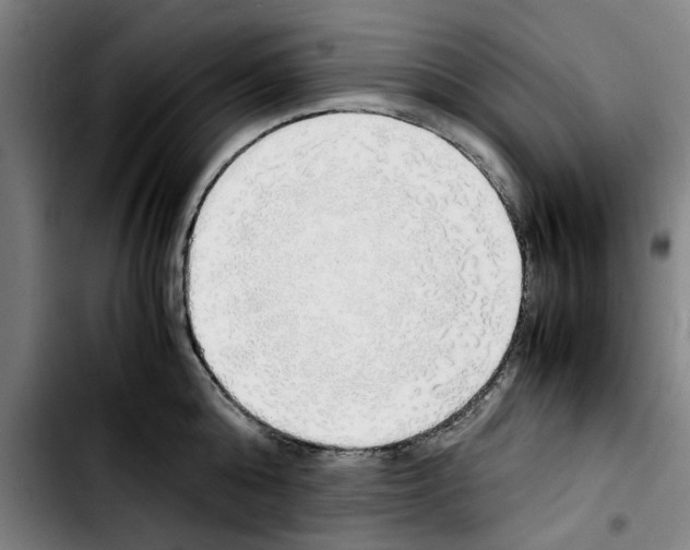 X0000103430808200810241057