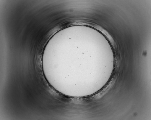X0000103430809200810241057