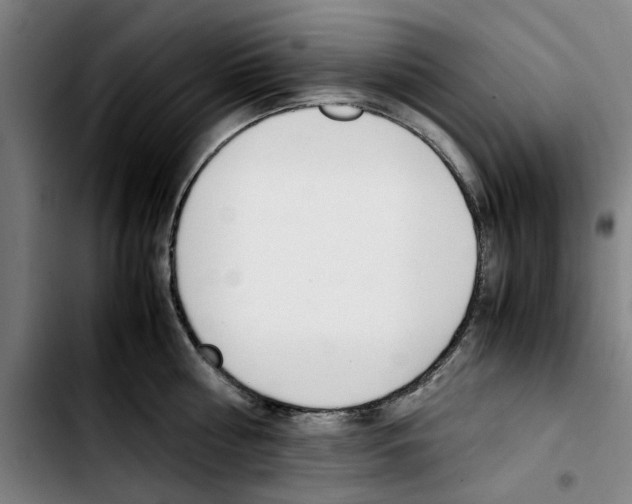 X0000103430810200810241057