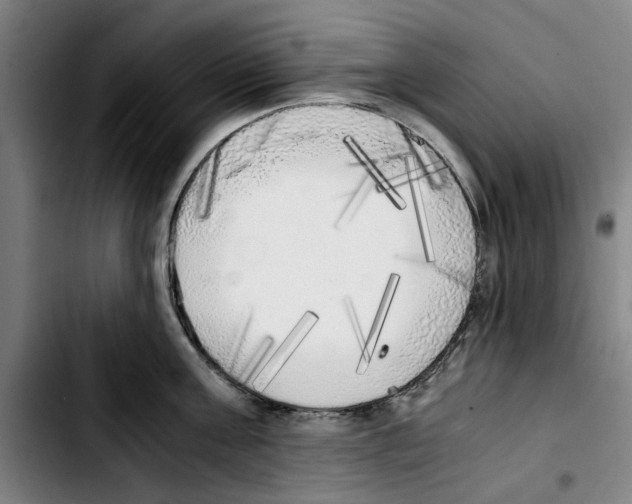 X0000103430811200810241057