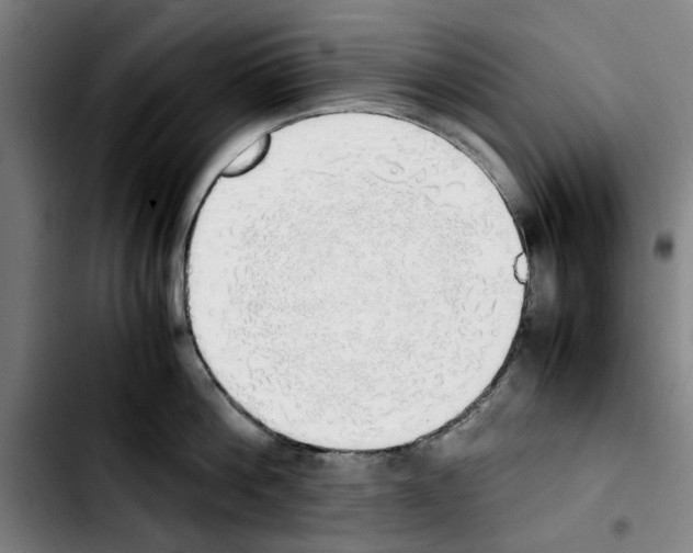 X0000103430812200810241057