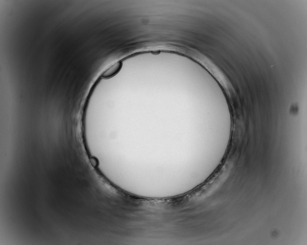 X0000103430813200810241057