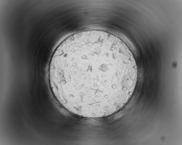 X0000103430814200810241057