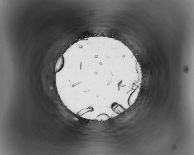 X0000103430817200810241056