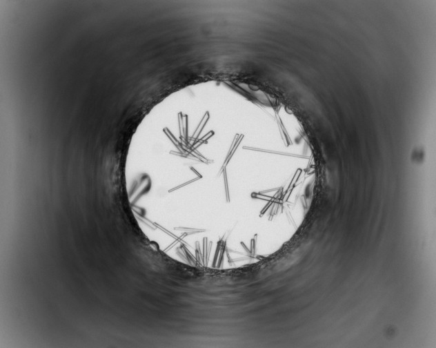 X0000103430818200810241056