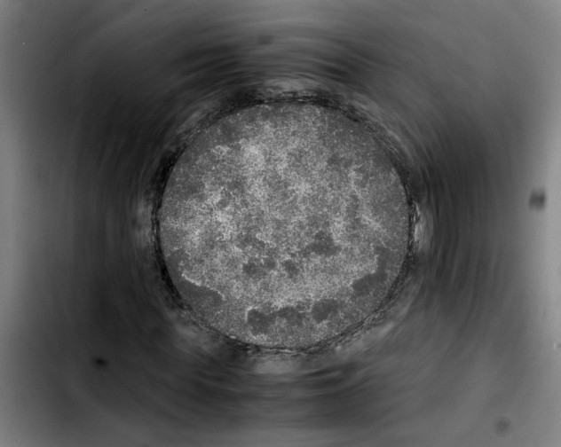 X0000103430819200810241056