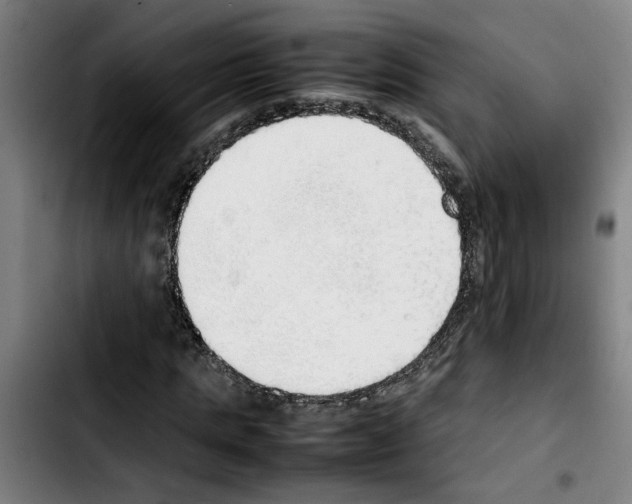 X0000103430821200810241056