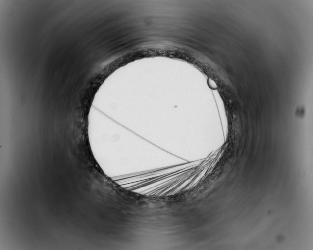 X0000103430822200810241056