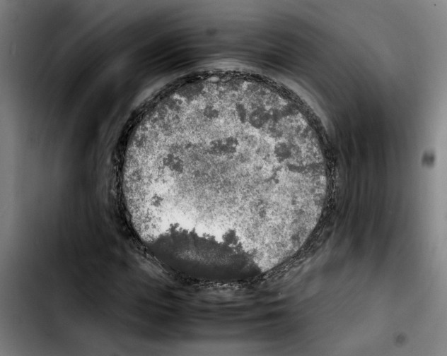 X0000103430823200810241056