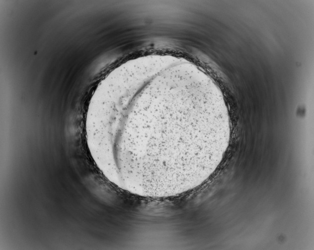 X0000103430824200810241056