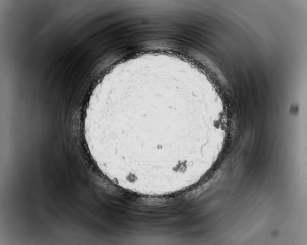 X0000103430825200810241056