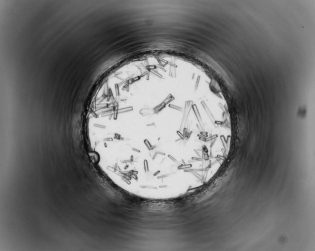 X0000103430826200810241056