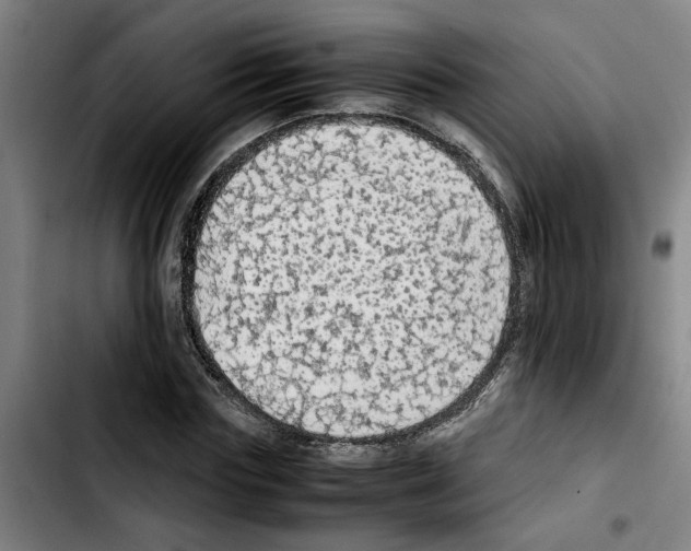 X0000103430827200810241056