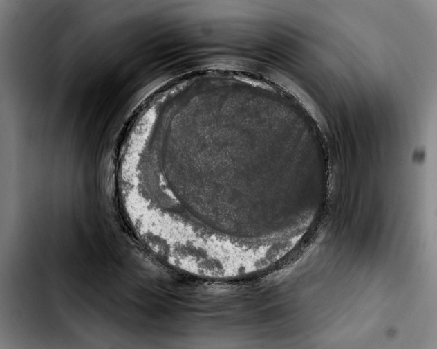 X0000103430829200810241056