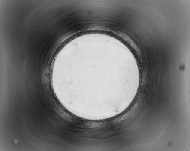 X0000103430831200810241056