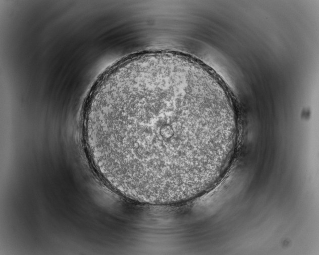 X0000103430832200810241056