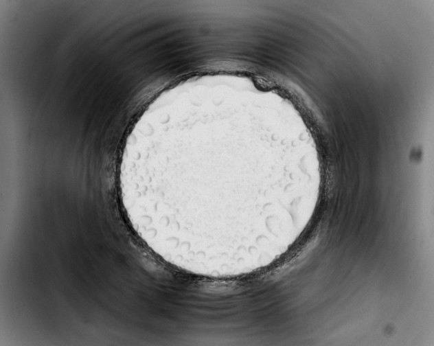 X0000103430833200810241056