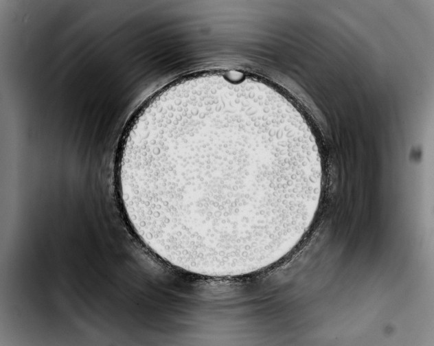 X0000103430834200810241056