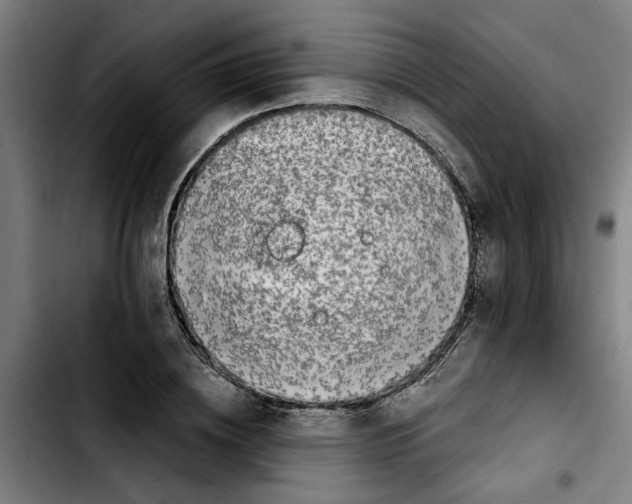 X0000103430836200810241056