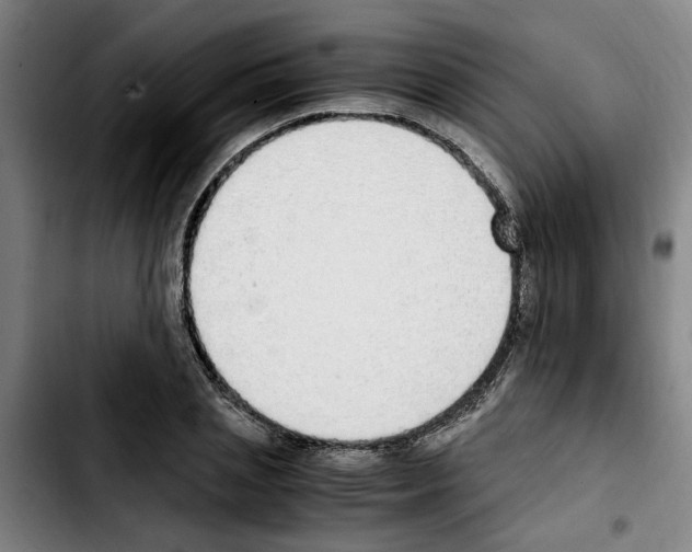 X0000103430837200810241056