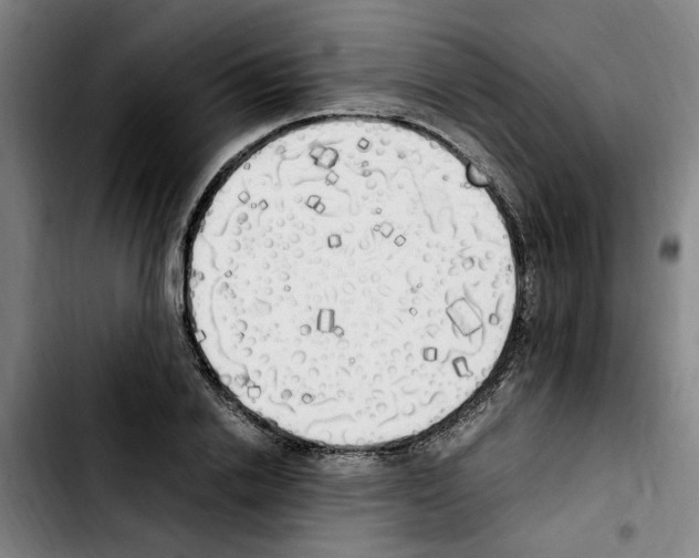 X0000103430838200810241056