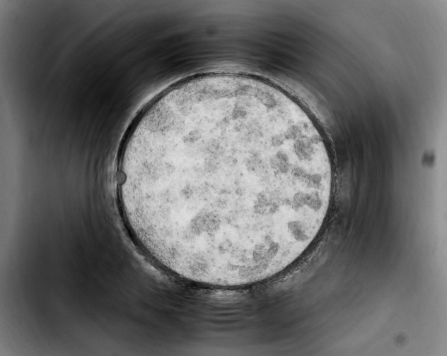 X0000103430839200810241056