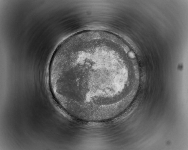 X0000103430840200810241056