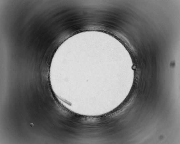 X0000103430841200810241056