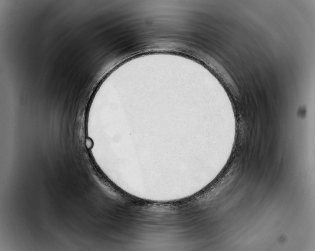 X0000103430842200810241056
