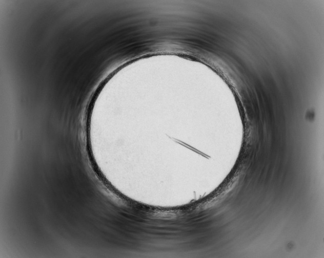 X0000103430843200810241056