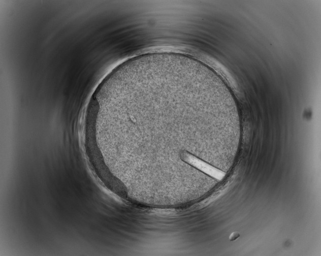 X0000103430844200810241056