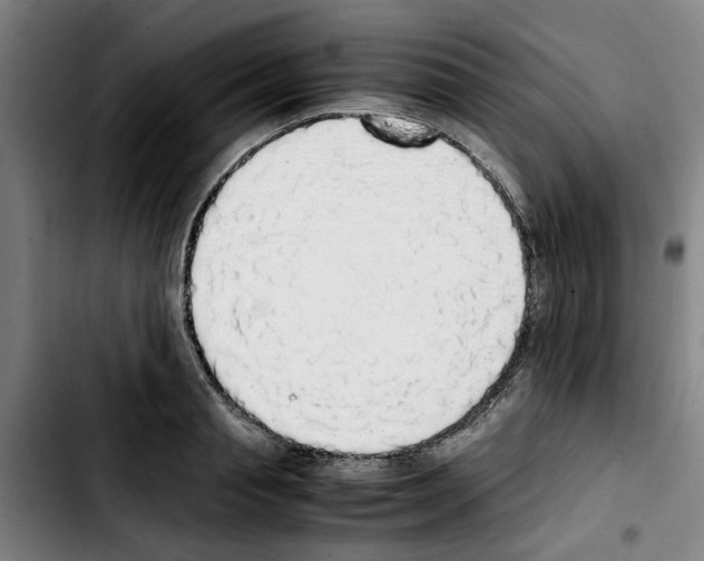 X0000103430845200810241056