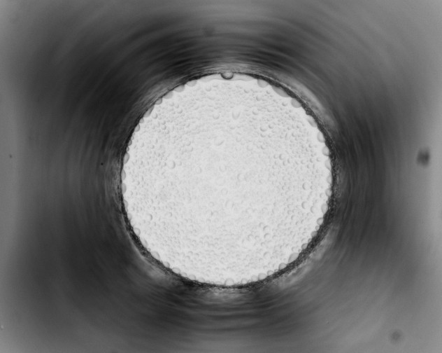 X0000103430849200810241056