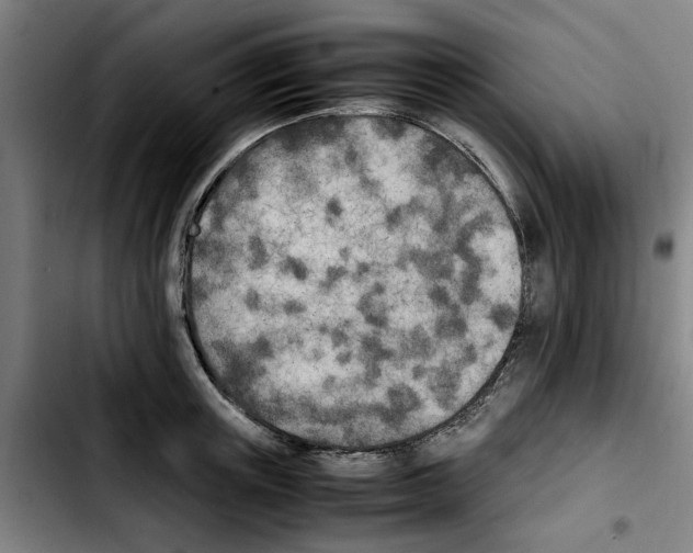 X0000103430851200810241056