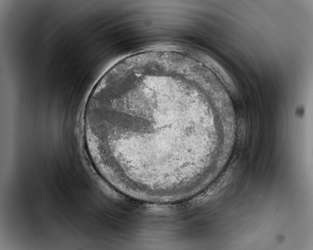 X0000103430852200810241056