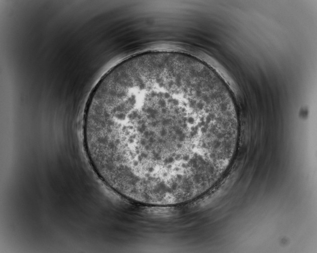 X0000103430853200810241056