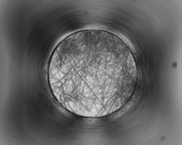 X0000103430854200810241057