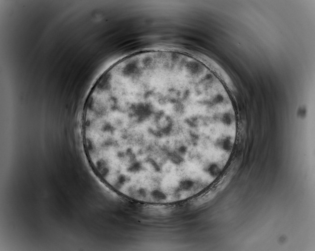 X0000103430855200810241057