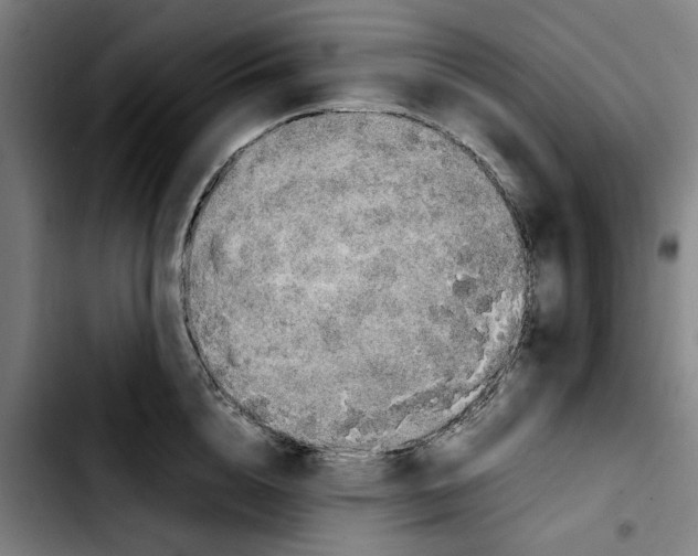 X0000103430856200810241057