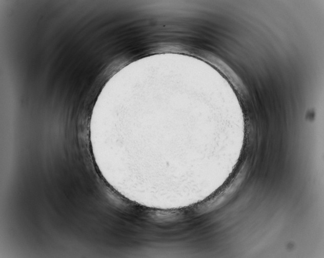 X0000103430857200810241057