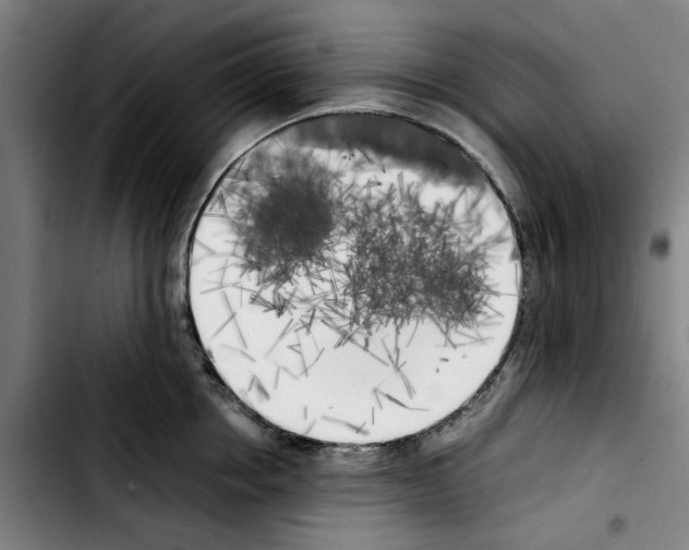 X0000103430858200810241057