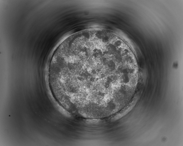 X0000103430859200810241057