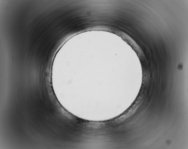 X0000103430860200810241057