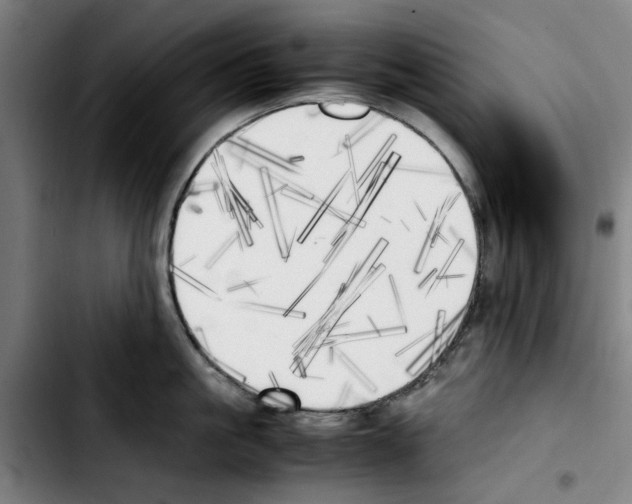 X0000103430861200810241057