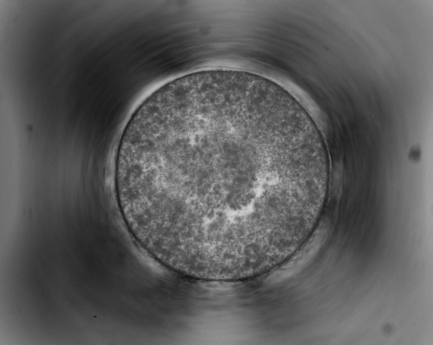 X0000103430862200810241057