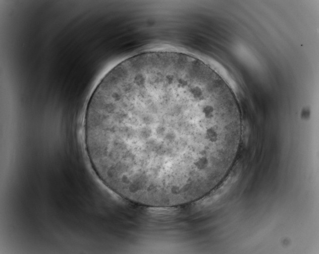 X0000103430863200810241057