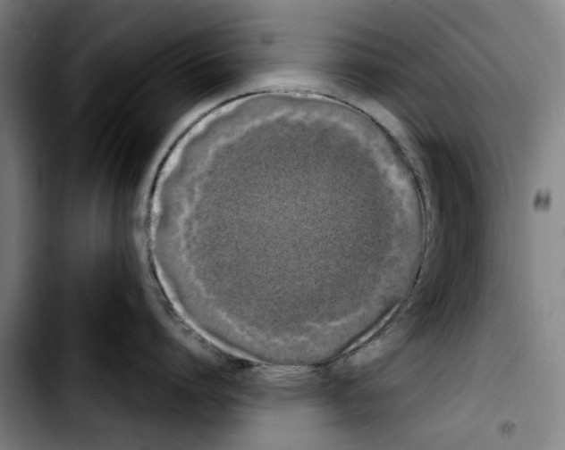X0000103430864200810241057