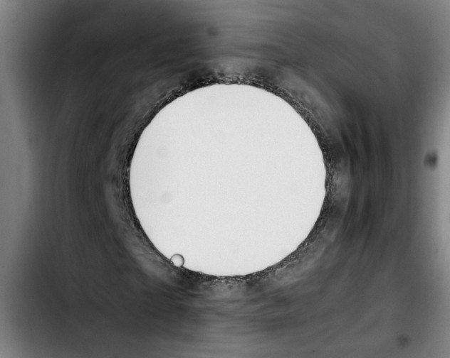 X0000103430865200810241056